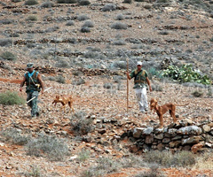 El Cabildo y cazadores de La Gomera fijan por unanimidad los días de caza